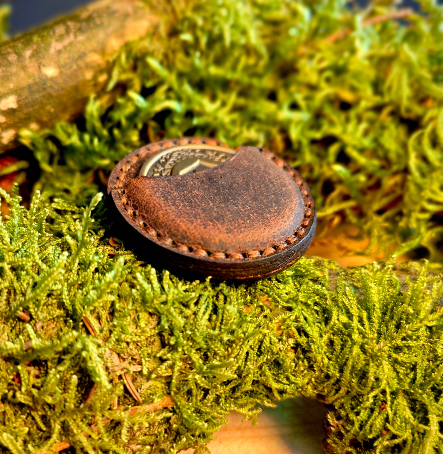 Coinhülle geschlossen